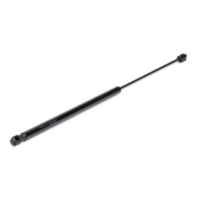 Gasfeder, Koffer-/Laderaum RIDEX 219G0261 219G0261 - foto 8