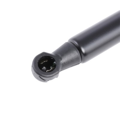 Gasfeder, Koffer-/Laderaum RIDEX 2454G0019 2454G0019 - foto 2