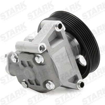 Hydraulikpumpe, Lenkung Stark SKHP-0540126 SKHP-0540126 - foto 5