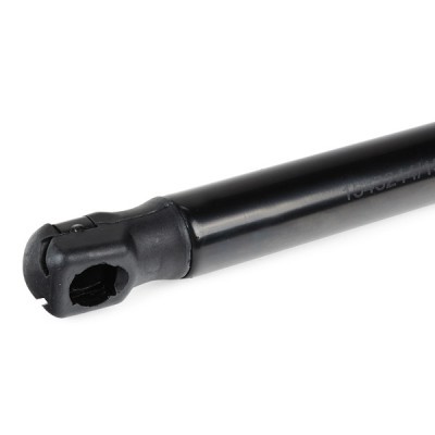 Gasfeder, Koffer-/Laderaum RIDEX 2454G0020 2454G0020 - foto 6