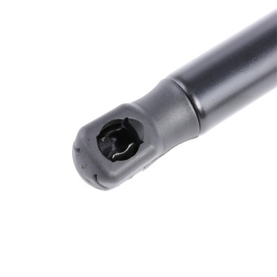 Gasfeder, Koffer-/Laderaum RIDEX 2454G0013 2454G0013 - foto 3