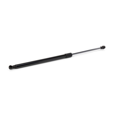 Gasfeder, Koffer-/Laderaum RIDEX 219G1205 219G1205 - foto 3