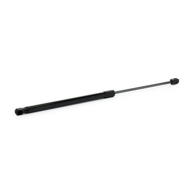 Gasfeder, Koffer-/Laderaum RIDEX 219G1275 219G1275 - foto 3