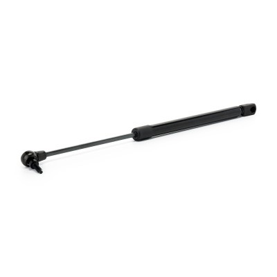 Gasfeder, Koffer-/Laderaum RIDEX 219G1496 219G1496 - foto 2