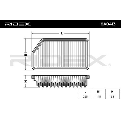 Luftfilter RIDEX 8A0413 8A0413 - foto 4