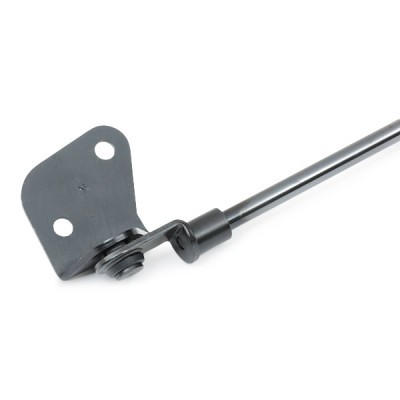 Gasfeder, Koffer-/Laderaum RIDEX 219G0373 219G0373 - foto 6