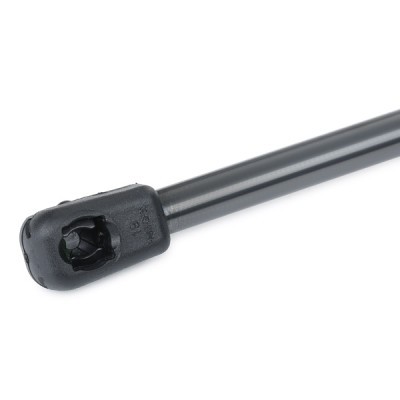 Gasfeder, Koffer-/Laderaum RIDEX 219G1026 219G1026 - foto 5