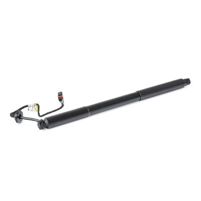 Gasfeder, Koffer-/Laderaum RIDEX 219G1034 219G1034 - foto 4
