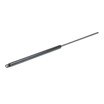 Gasfeder, Koffer-/Laderaum RIDEX 219G0380 219G0380 - foto 3