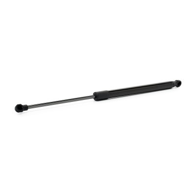 Gasfeder, Koffer-/Laderaum RIDEX 219G1204 219G1204 - foto 2