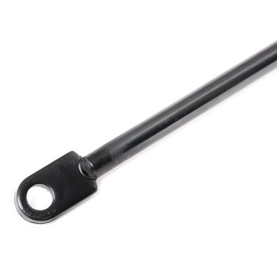 Gasfeder, Koffer-/Laderaum RIDEX 219G0682 219G0682 - foto 5