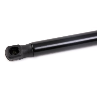 Gasfeder, Koffer-/Laderaum RIDEX 2454G0016 2454G0016 - foto 5
