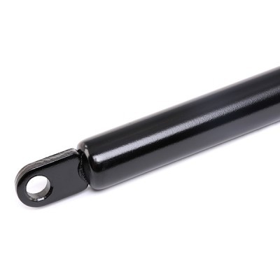 Gasfeder, Koffer-/Laderaum RIDEX 219G0294 219G0294 - foto 4