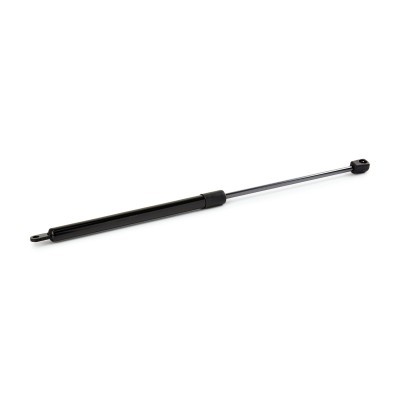 Gasfeder, Koffer-/Laderaum RIDEX 219G1000 219G1000 - foto 4