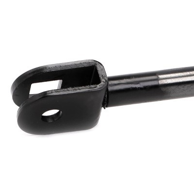 Gasfeder, Koffer-/Laderaum RIDEX 219G0490 219G0490 - foto 5