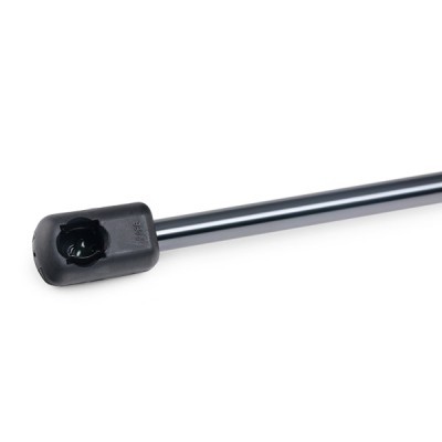 Gasfeder, Koffer-/Laderaum RIDEX 219G0702 219G0702 - foto 6