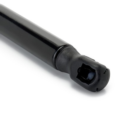 Gasfeder, Koffer-/Laderaum RIDEX 219G1422 219G1422 - foto 5