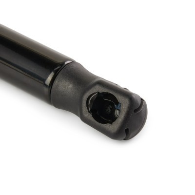 Gasfeder, Koffer-/Laderaum RIDEX 219G1021 219G1021 - foto 5