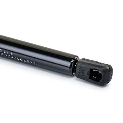 Gasfeder, Koffer-/Laderaum RIDEX 219G0387 219G0387 - foto 7