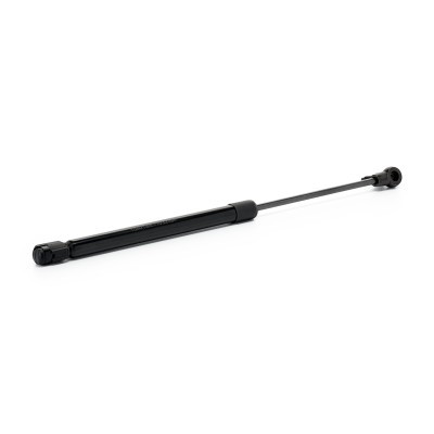 Gasfeder, Koffer-/Laderaum RIDEX 219G1496 219G1496 - foto 3