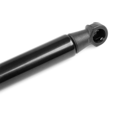 Gasfeder, Koffer-/Laderaum RIDEX 219G0668 219G0668 - foto 7