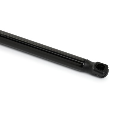 Gasfeder, Koffer-/Laderaum RIDEX 219G1100 219G1100 - foto 5