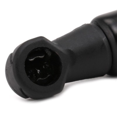 Gasfeder, Koffer-/Laderaum RIDEX 2454G0015 2454G0015 - foto 5
