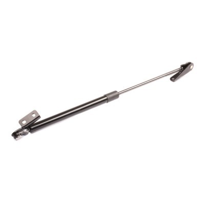 Gasfeder, Koffer-/Laderaum RIDEX 219G0602 219G0602 - foto 10