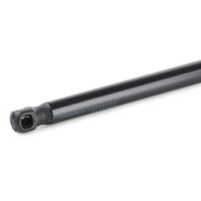 Gasfeder, Koffer-/Laderaum RIDEX 219G0404 219G0404 - foto 5