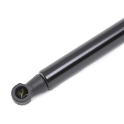 Gasfeder, Koffer-/Laderaum RIDEX 219G0356 219G0356 - foto 8