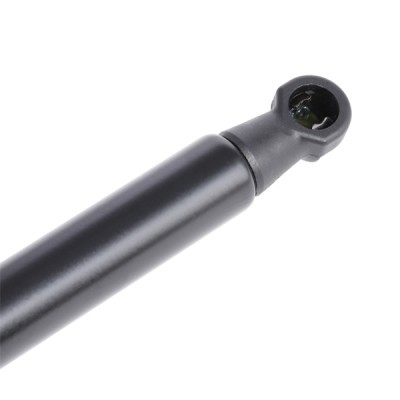 Gasfeder, Koffer-/Laderaum RIDEX 2454G0018 2454G0018 - foto 4