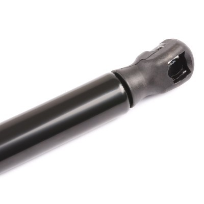 Gasfeder, Koffer-/Laderaum RIDEX 219G0250 219G0250 - foto 5