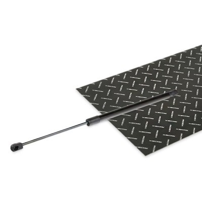 Gasfeder, Koffer-/Laderaum RIDEX 219G1144 219G1144 - foto 2