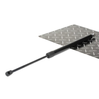 Gasfeder, Koffer-/Laderaum RIDEX 219G0609 219G0609 - foto 2