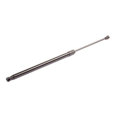 Gasfeder, Koffer-/Laderaum RIDEX 219G0910 219G0910 - foto 10