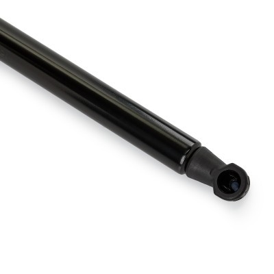 Gasfeder, Koffer-/Laderaum RIDEX 219G1486 219G1486 - foto 5