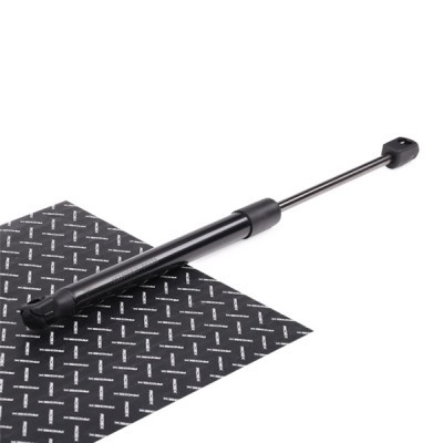 Gasfeder, Koffer-/Laderaum RIDEX 219G0383 219G0383 - foto 2