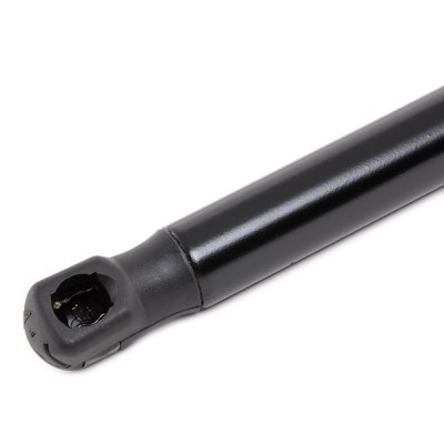 Gasfeder, Koffer-/Laderaum RIDEX 219G0873 219G0873 - foto 4
