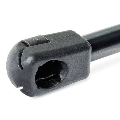 Gasfeder, Koffer-/Laderaum RIDEX 219G0434 219G0434 - foto 5