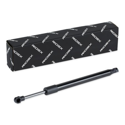 Gasfeder, Koffer-/Laderaum RIDEX 219G0957 219G0957 - foto 2
