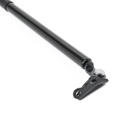 Gasfeder, Koffer-/Laderaum RIDEX 219G1063 219G1063 - foto 5