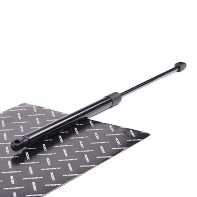 Gasfeder, Koffer-/Laderaum RIDEX 219G0289 219G0289 - foto 2