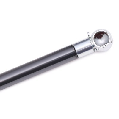Gasfeder, Koffer-/Laderaum RIDEX 219G0332 219G0332 - foto 5