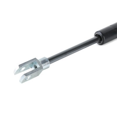 Gasfeder, Koffer-/Laderaum RIDEX 2454G0011 2454G0011 - foto 5