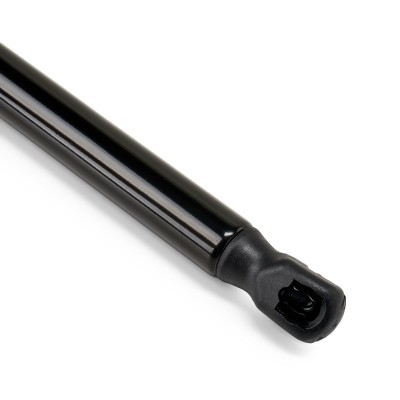 Gasfeder, Koffer-/Laderaum RIDEX 219G1312 219G1312 - foto 5