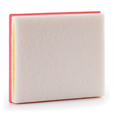Luftfilter RIDEX 8A0704P 8A0704P - foto 4