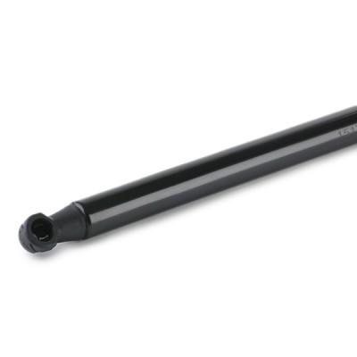 Gasfeder, Koffer-/Laderaum RIDEX 219G0888 219G0888 - foto 5