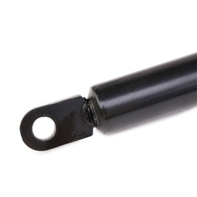 Gasfeder, Koffer-/Laderaum RIDEX 219G0884 219G0884 - foto 5