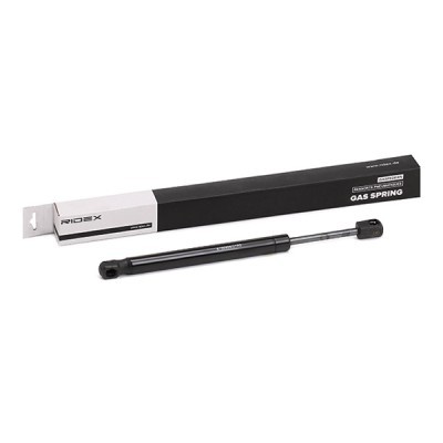 Gasfeder, Koffer-/Laderaum RIDEX 219G0199 219G0199 - foto 2