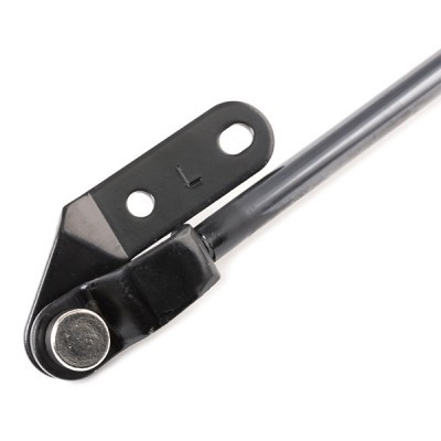 Gasfeder, Koffer-/Laderaum RIDEX 219G0846 219G0846 - foto 5